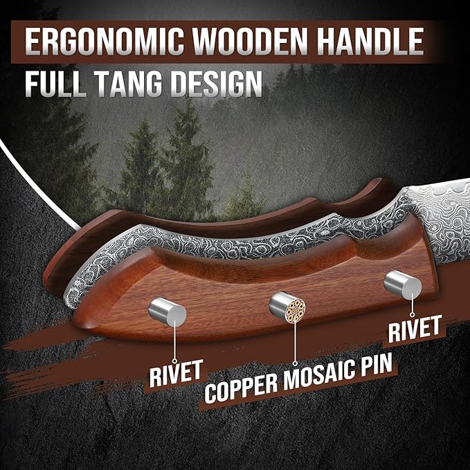 DRAGON RIOT Damascus Paring Knife 5 inch, VG-10 Damascus Steel Fruit Knife, Japanese Peeling Knife with Ergonomic Wood Handle, Multipurpose Kitchen Knife for Cutting Fruit Vegetables