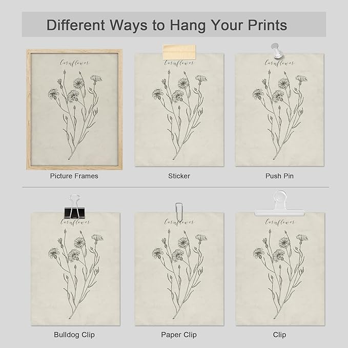 SIGNWIN Poster Bathroom Decor, Wall Art Room Decor Multicolor for Living Room, Bedroom, Office Vintage Wildflower Plant Collage Drawing Nature Wilderness Plant Art Floral Botanical - 12"x16"x4