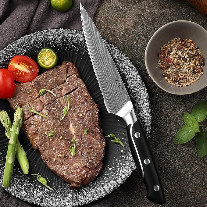 Damascus Kitchen Knife Sets, 9 Pieces Kitchen Knives Set with Block, ABS Ergonomic Handle for Chef Knife Set, Knife Sharpener and Kitchen Shears, Knife Block Set