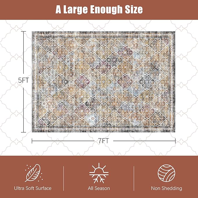 6' x 9' Washable Area Rug - Low Pile Soft Vintage Indoor Rug for Living, Dining or Bedroom - Lightweight Carpet with Non-Slip Backing - Foldable for Easy Placement, Multi