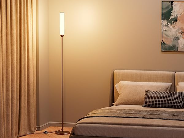 LED Floor Lamp with Remote Control, 65" Standing lamp with Stepless Adjustable 3000K-6500K Colors & 5%-100% Brightness, Foot Switch(Brown)