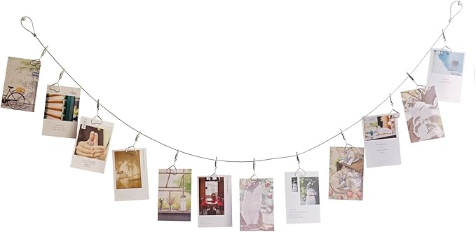 Multi-Purpose Steel Wall Hanging Photo Display Cable Wire Rod with 12 Adjustable Clips for Hanging Photos Notes Postcard and Artworks (Heart)