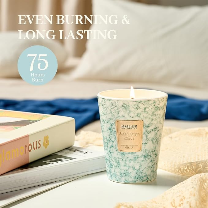 M&SENSE FreshSage Citrus Scented Candles for Home, Lead-Free Wick Highly Scented Jar Candles, 14.1 Oz 80 Hours Lasting Burning Candles Gifts for Women, Relaxing Aromatherapy Candle for Stress Relief