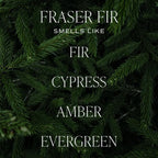 Sweet Water Decor Fraser Fir Candle - Evergreen, Fir, Cedar, and Cypress Winter Holiday Scented Soy Christmas Candles for Home - 12oz Sandstone Jar, 50+ Hour Burn Time, Made in The USA