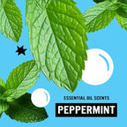 Molly’s Suds Fabric Softener Liquid for Sensitive Skin | Vinegar-Powered, Infused with Essential Oils | Fights Static, Reduces Wrinkles, Deodorizes | Peppermint, 50 Loads