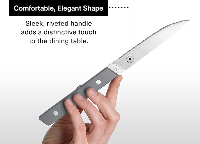 Misen Steak Knives Set of 4 - Precision Serrated Blades for Effortless Dining - German Stainless Steel - Superior Cuts with Four Steak Knives - Comfortable, Sleek Handles - Gray