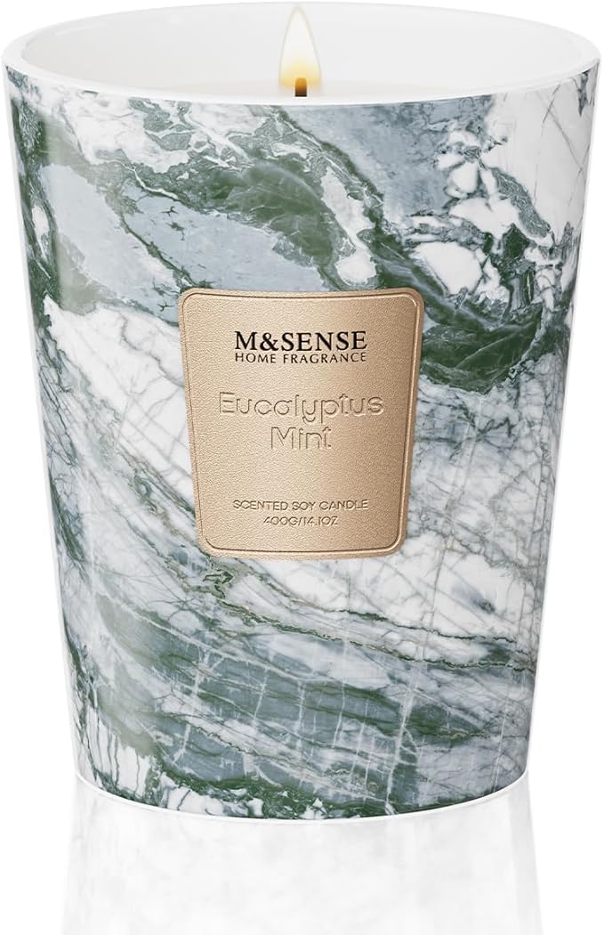 M&SENSE EucalyptusMint Scented Candles for Home, Lead-Free Wick Highly Scented Jar Candles, 14.1 Oz 80 Hours Lasting Burning Candles Gifts for Women, Relaxing Aromatherapy Candle for Stress Relief
