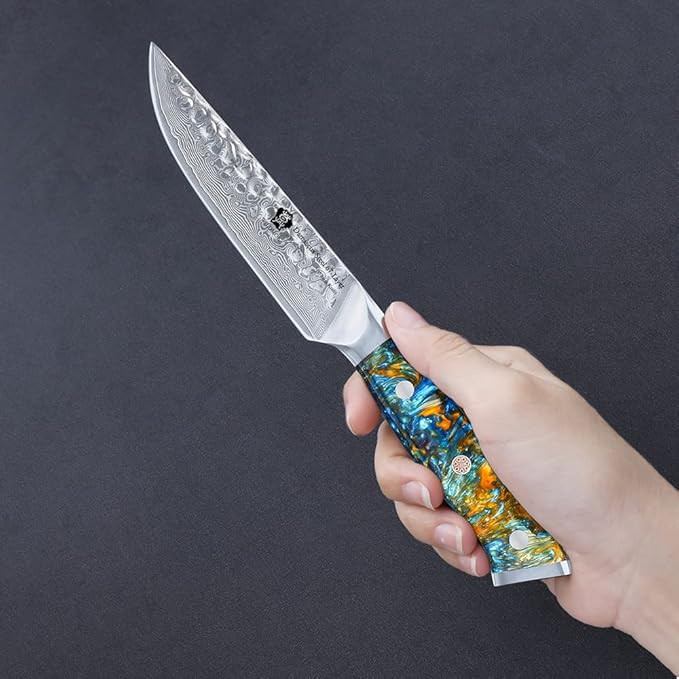 WILDMOK Steak Knife Set 4pc Full Tang 5 inch Forged Damascus Steel Dinner Knives Full Tang Ergonomic Beautiful Resin Handle