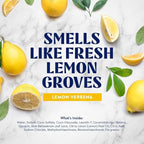 Bundle of Cleancult Dish Soap Liquid Refills (32oz, 1 Pack) - Lemon Verbena + Cleancult - Lemon Verbena - Liquid Dish Soap - Refillable Aluminum Bottle - 16 oz