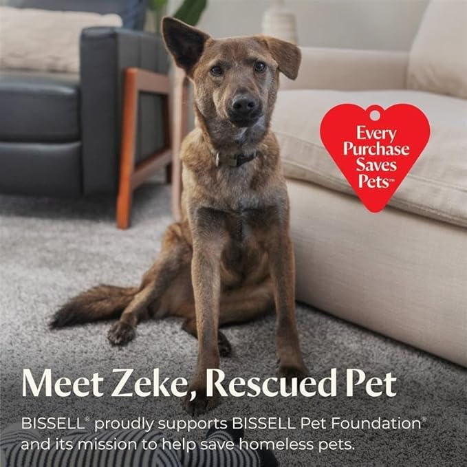 BISSELL® Steam Shot™ OmniReach handheld portable steam cleaner for tile, grout, windows, bathrooms, kitchens, fabric steaming tool, includes 10 tools