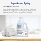 The Clean People Liquid Fabric Softener - Softens & Removes Static Cling - Vegan (100 Fl Oz, Spring)
