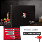 YARENH Professional Chef Knife Set 5 Piece, Damascus High Carbon Stainless Steel, Full Tang, Natural Sandalwood Handle, Ultra Sharp Kitchen Knife