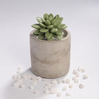 Reed Diffuser Set, Pretty Valley Home Succulent Gypsum Ceramic Fragrance Diffuser Vase Set - 3.38 fl oz (100 ml), Home Fragrance Reed Diffuser (Citrus Verbena)