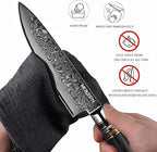 Chef Knife 8 Inch, Professional Kitchen Knife 67 Layers VG10 Damascus Cutting Knife Chopping for Home Kitchen Wood Handle, Full Tang, Gift Box
