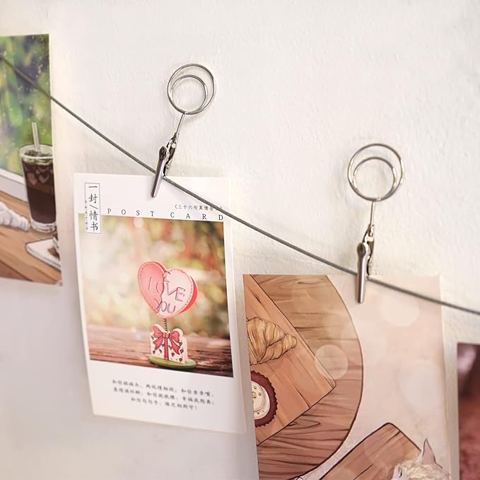 Multi-Purpose Steel Wall Hanging Photo Display Cable Wire Rod with 12 Adjustable Clips for Hanging Photos Notes Postcard and Artworks (Round)