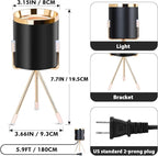 Spot Lights Indoor Floor Lamp, 6W Uplighting Indoor with Remote, Dimmable & Timer & 3 Color Temperatures, 2700K to 6500K Floor Can Lights for Plants Pictures Corner Ambient Lighting, 2 Pack