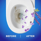Toilet Bowl Cleaner Rim Hanger, 6 Count Automatic Bowl Toilet Cleaner, Cleans and Freshens Toilet Bowl, Lavender Scent - 7 Month