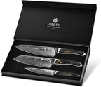 Damascus Knife Set 3 PCS: Ultra-Sharp Professional Chef Knife Set, Japanese Kitchen Knives with VG10 Steel Core, Full Tang Resin Handle, Elegant Box