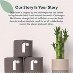 Reel Premium Toilet Paper - 24 Rolls of Toilet Paper - 3-Ply Made From Tree-Free - Zero Plastic Packaging, Septic Safe