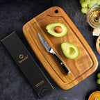 Sunnecko Paring Knife 3.5 Inch, Fruit Knife with 67-layers Damascus Steel VG-10 Blade Small Knife, Peeling Knife with Inlaid Handle Small Kitchen Knife Perfect for Cutting Fruit Vegetables Petty Knife