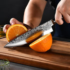 Chef Knife 8 Inch, Professional Kitchen Knife 67 Layers VG10 Damascus Cutting Knife Chopping for Home Kitchen Wood Handle, Full Tang, Gift Box