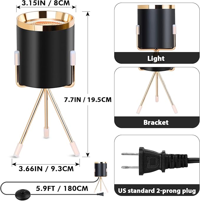Spot Lights Indoor Floor Lamp, 6W Uplighting Indoor, Floor Can Lights for Plants Pictures Corner Ambient Lighting, 1 Pack