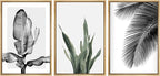 SIGNWIN Framed Canvas Print Wall Art Trio of Jungle Palms & Snake Succulents Floral Plants Photography Modern Art Minimalist Black and White for Living Room, Bedroom, Office - 24"x36"x3 Natural