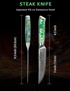 Steak Knives Set of 4, Ultra Sharp Non Serrated Kitchen Steak Knife 5 Inch - Damascus Steel & Resin Handle - Xuan Series(Jade Green)
