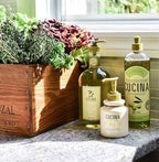 Fruits & Passion [Cucina] - Lime Zest & Cypress Tree Dish Soap Refill, All Natural Dish Detergent Liquid Refill, Vegan & Cruelty-Free, Clear Dish Soap Liquid Refill (33.8 fl oz)