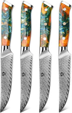 WILDMOK Steak Knives, 5 inch Non Serrated Steak Knife Set of 4, Japanese Damascus VG10 Steel Steak Knives,Premium Steak Knives Set with Gift Box