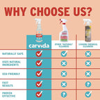 Seat & Carpet Instant Cleaner - Stain Remover Spray for Automotive Fabric Seats and Carpets, Grapefruit Scent, 16oz