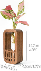 Plant Terrarium with Wooden Stand & Glass Test Tube - for Hydroponic Plants, Home Garden Office Decor, Unique Birthday, Housewarming for Plant Lovers