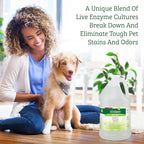 Biokleen Bac-Out Pet Stain Remover - Enzymatic, Natural, Plant-Based Destroys Stains & Odors, Safe for Surfaces & Fabrics, Carpet Cleaner - Eco-Friendly, Lavender Lime Scent, 1 Gallon