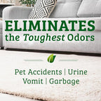 Biokleen Bac-Out Stain Remover for Clothes & Carpet - 32 Ounce - Natural, Enzymatic, Destroys Stains & Odors Safely, for Pet Stains, Laundry, Diapers, Wine, Carpets, Eco-Friendly, Plant-Based