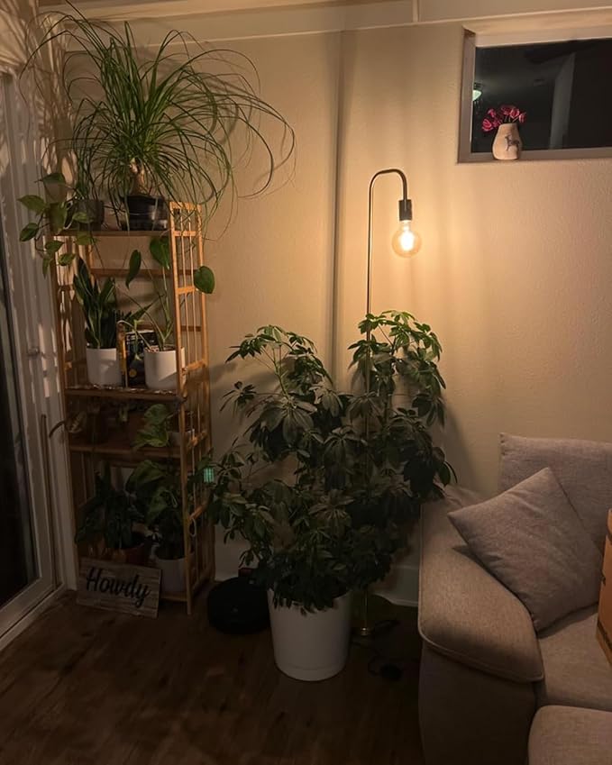 Oneach 63.75'' Industrial Antique Brass Gold Minimalist Floor Lamp for Living Room, Bedroom and Office