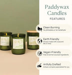 Paddywax Eco Collection Soy Wax Blend Candle in Glass Jar, Eucalyptus & Sage Scent, Green Vessel with Wood Lid, 8 oz