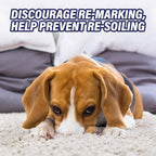 Resolve Ultra Pet Odor and Stain Remover Spray, Carpet Cleaner, 32oz (Pack of 2)