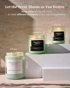 M&SENSE Orange Creamsicle Scented Candle, 19.4oz 110 Hours Slow Burning Non Toxic Natural Soy Wax 2 Wick Candle for Home Scented, Long Lasting Home Fragrance Gifts for Housewarming & Anniversry