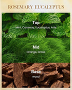 M&SENSE Rosemary Eucalyptus Scented Candle Home Decor, Natural Soy Wax,4.1oz 60 Hours Long Lasting Slow Burning, Aromatherapy Candle for Stress Relief