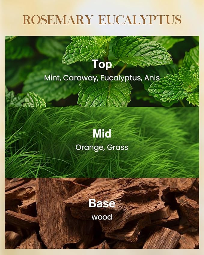 M&SENSE Rosemary Eucalyptus Scented Candle 35oz 150H Burn Time Long Lasting, 3-Wick Natural Aromatherapy Candle Highly Scented, Home Fragrance Housewarming Gifts