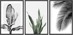 SIGNWIN Framed Canvas Print Wall Art Trio of Jungle Palms & Snake Succulents Floral Plants Photography Modern Art Minimalist Black and White for Living Room, Bedroom, Office - 24"x36"x3 Black