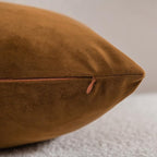 Throw Pillow Cases 18x18 Golden Brown: 2 Pack Cozy Soft Velvet Square Decorative Pillow Covers for Farmhouse Home Decor