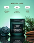 M&SENSE Pine Scented Candles Natural Soy Wax Clean Non Toxic 11.6oz 70 Hours Large Long Lasting Christmas Winter Scented 2 Wicks Candle Gift for Holiday & Family Friends Teachers