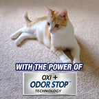 Resolve Ultra Pet Odor and Stain Remover Spray, Carpet Cleaner, 32oz (Pack of 2)