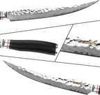 YOUSUNLONG Slicing & Carving Knife - 10'' (25.4cm) - Damascus - Japanese Hammered VG10 Steel - Ham Slicer - Razor Sharp -Natural Ebony wood Handle With Leather Sheath - Slicer Cleaver