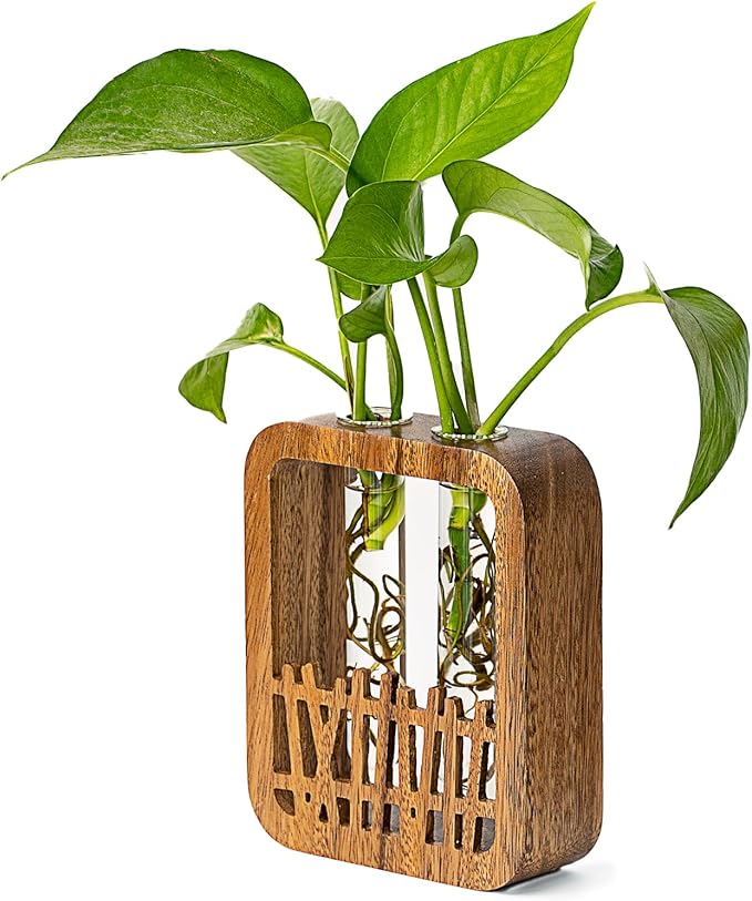 Walnut Wood Terrarium Planter - 2 Glass Test Tube Vase & Boho Plant Stand for Hydroponics, Home Office Desk Decor, Unique Housewarming Birthday Gifts for Women Plant Lovers