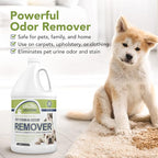 Pet Stain and Odor Remover - Enzyme Cleaner, Pet Urine Odor Eliminator Refill - Floor & Carpet Cleaner, Pet Deodorizers For Home, Fabric Freshener W/Fresh, Clean Scent, 1 Gallon