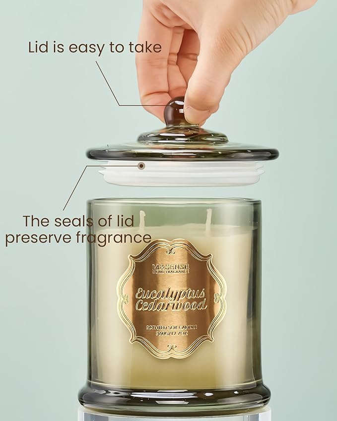 M&SENSE Eucalyptus Cedarwood Scented Candles, 2 Wick 12.7oz Large Jar Candle 75H Long Lasting, Plant-Based Non Toxic Natural Soy Wax, Aromatherapy Candles for Stress Relief,Gifts for Men Women Father