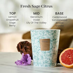 M&SENSE FreshSage Citrus Scented Candles for Home, 3-Wick Highly Scented Jar Candles, Extra Large Candle 35 Oz 150 Hours Long Lasting Burning, Relaxing Aromatherapy Candle for Stress Relief,Meditation