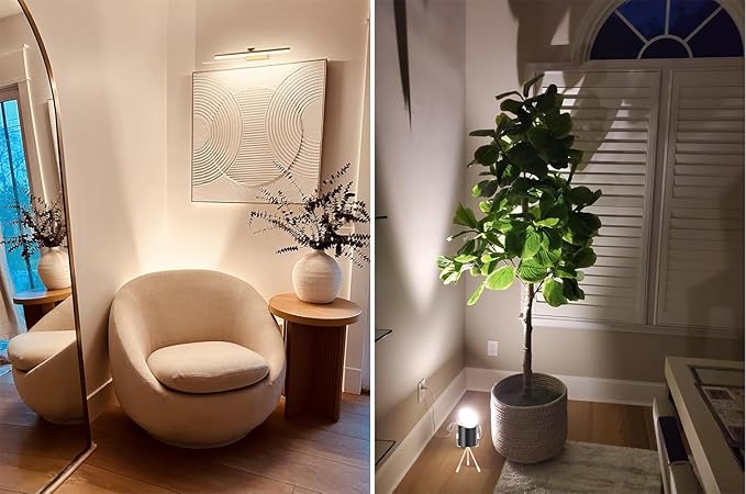Spot Lights Indoor Floor Lamp, 6W Uplighting Indoor, Floor Can Lights for Plants Pictures Corner Ambient Lighting, 1 Pack
